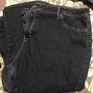 Lane Bryant Jeans